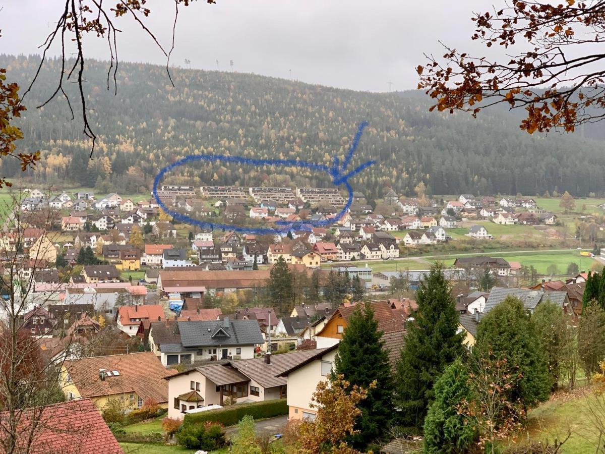 Appartement Mit Herrlicher Aussicht Uebers Murgtal Baiersbronn Buitenkant foto