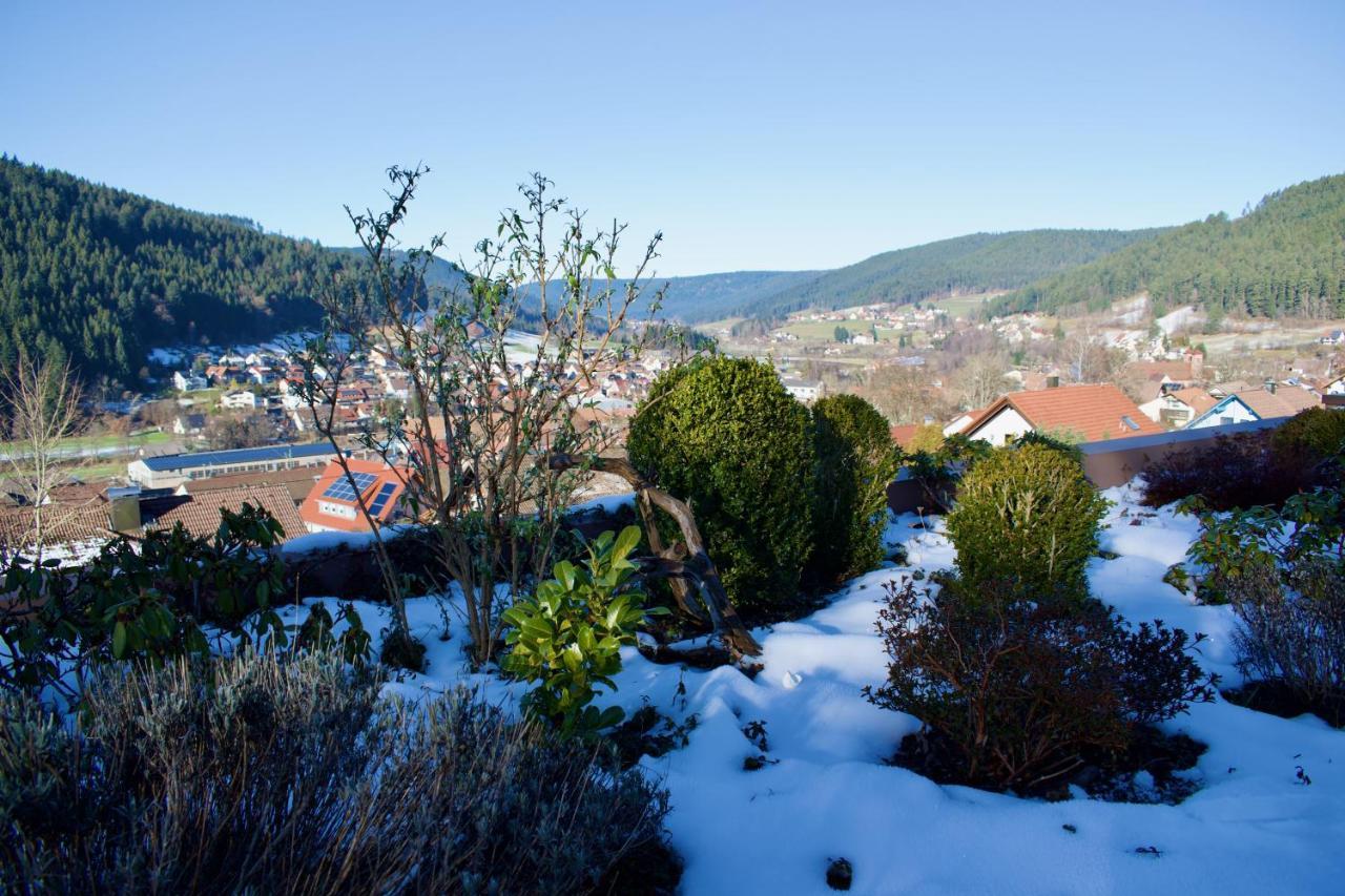 Appartement Mit Herrlicher Aussicht Uebers Murgtal Baiersbronn Buitenkant foto
